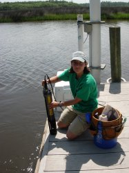 SWMP Data Specialist, Katie Petrinec, performing a data sonde swap at the Pellicer Creek site