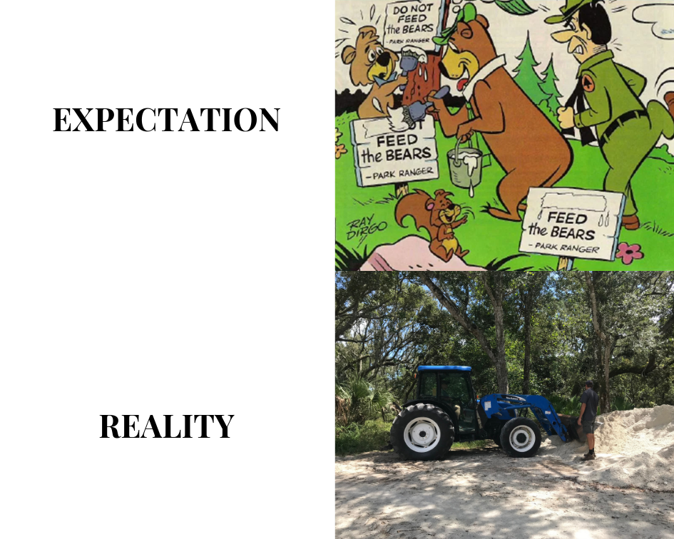Expectation_vs_Reality